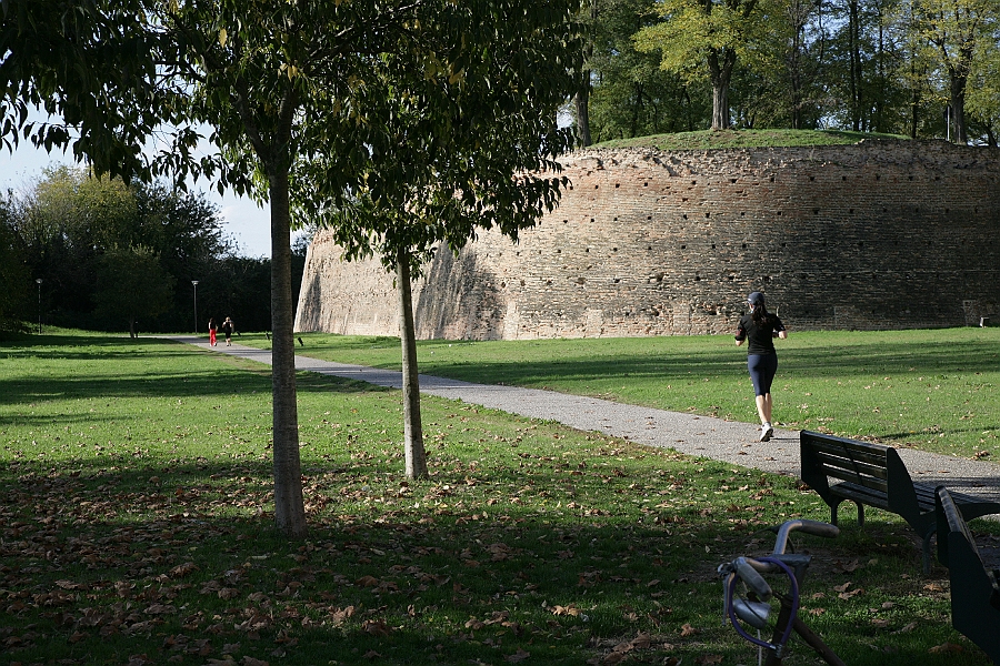 Img 196.jpg